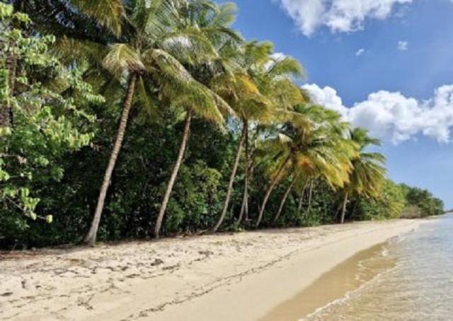 Touloukaera Appt 303 Plage Kawann Saint-Louis Екстер'єр фото