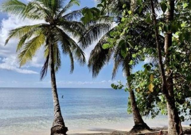 Touloukaera Appt 303 Plage Kawann Saint-Louis Екстер'єр фото